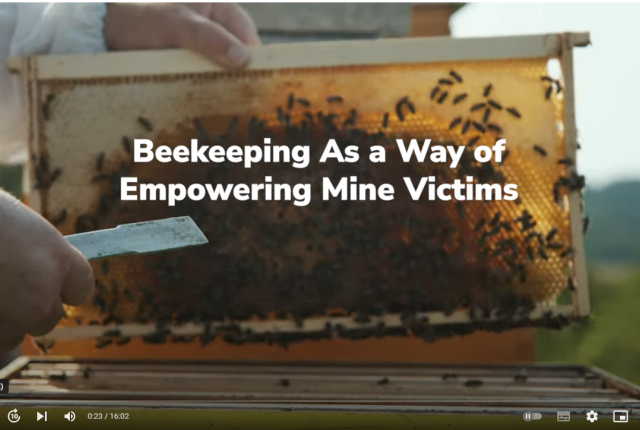 Projekcija filma pčelarstva žrtava mina iz BiH predstavljena u Čileu