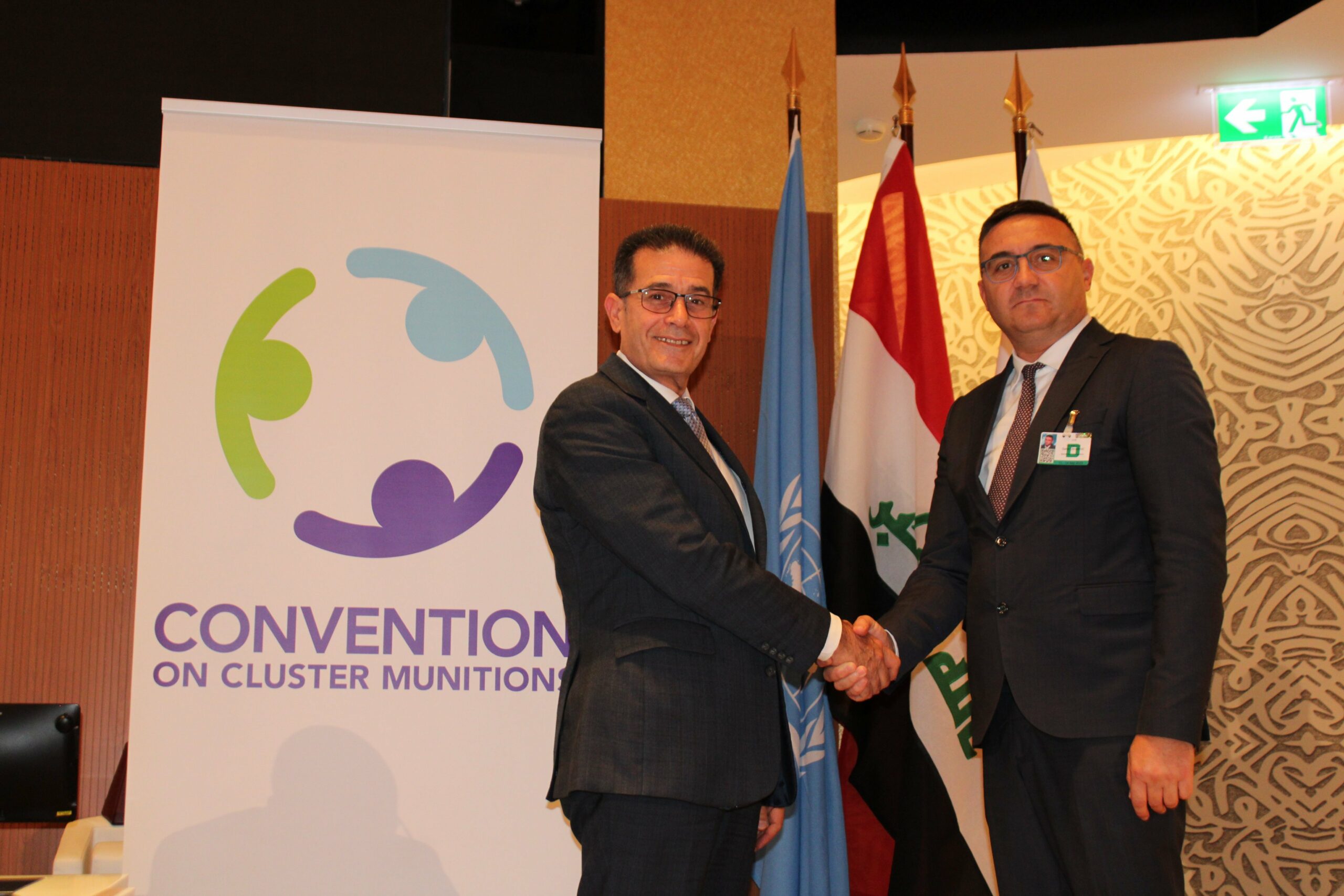 Bosnia and Herzegovina submitted Declaration on completion of cluster munition 